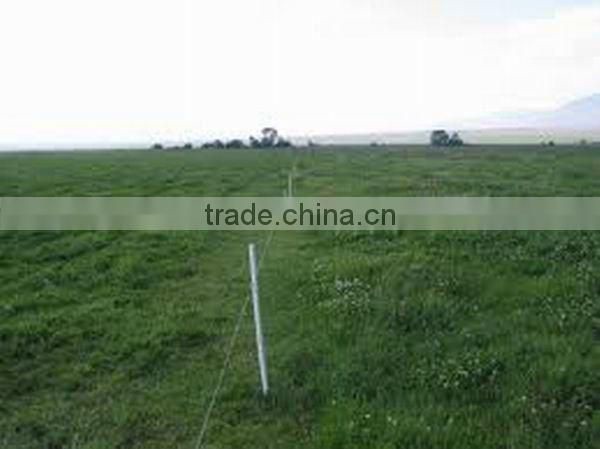 Fiberglass Electric Fence Post