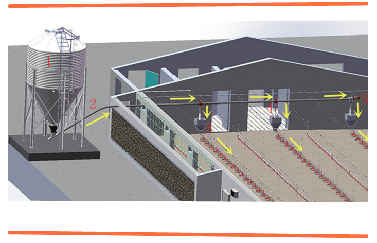 Customized for Special Request Agricultural Farm Convenient Poultry Feeding Storage Silo