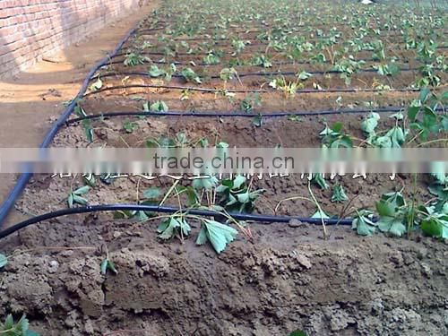 Drip pipe with round dripper