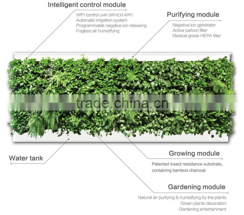 green wall system vertical hanging garden grass wall with planter and ECO green wall