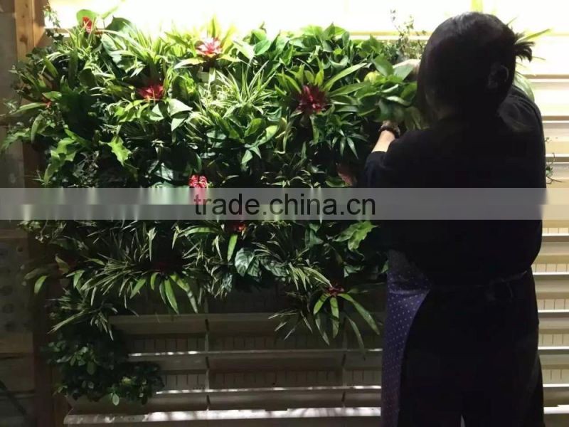 green wall system vertical hanging garden grass wall with planter and ECO green wall