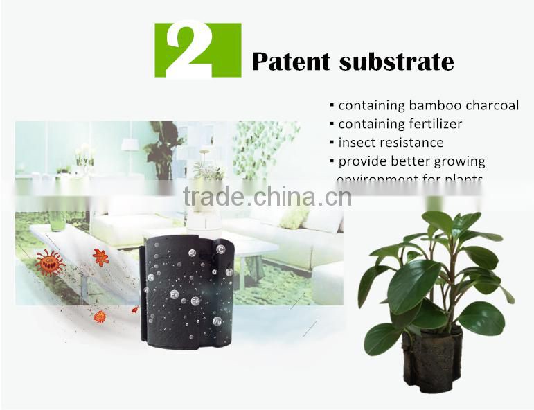 home appliance air purifier ionizer smart home automation system purifier