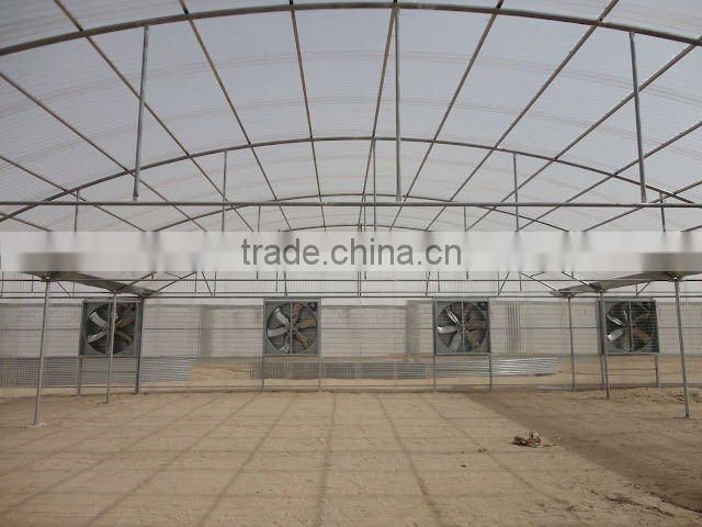 Multispan Greenhouse (Polycarbonate Valuview ROMA)