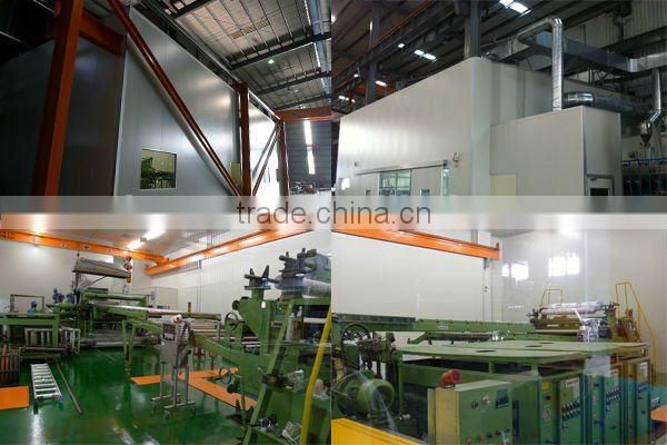 Green House (Polycarbonate Valuview ROMA sheets)