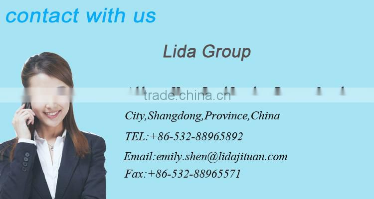 20ft container house luxury