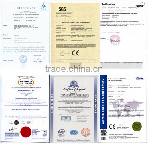 Bona 12/24/36/110/220V 1/8'' steam solenoid valve ZCQ-20B