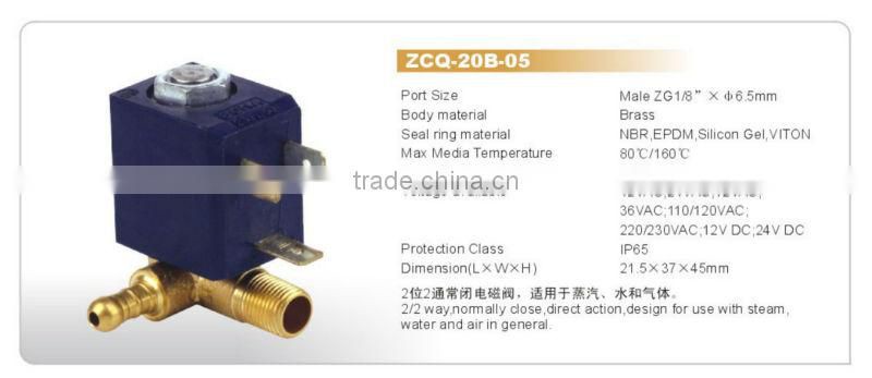 Brass Valve ZCQ-20B-5 AC220V 1/8" 6.5mm Steam Iron Solenoid Valve