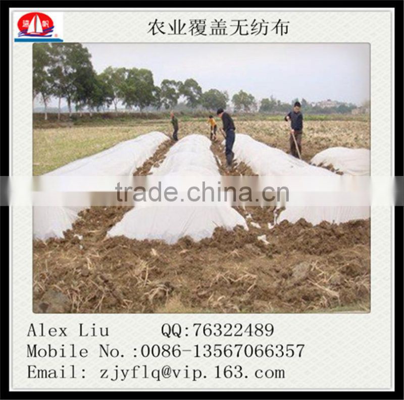 30gsm 80cm*100cm 60cm*80cm 120cm*180cm Non-woven plant cover have the rope