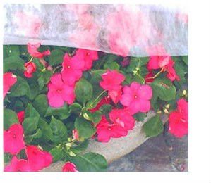 Agriculture using Non Woven fabric