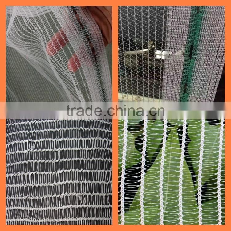 Agriculture apple tree anti hail net, anti hail netting, hdpe anti hail net