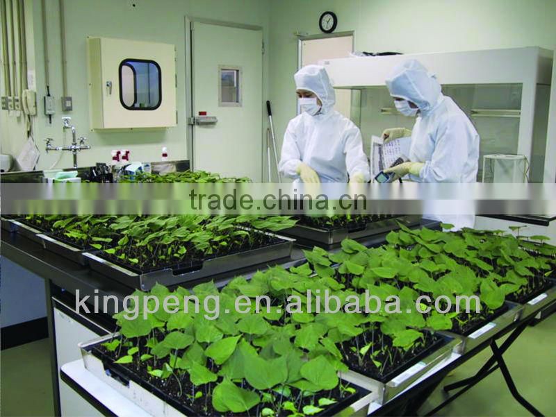 Professional Greenhouses Supplier