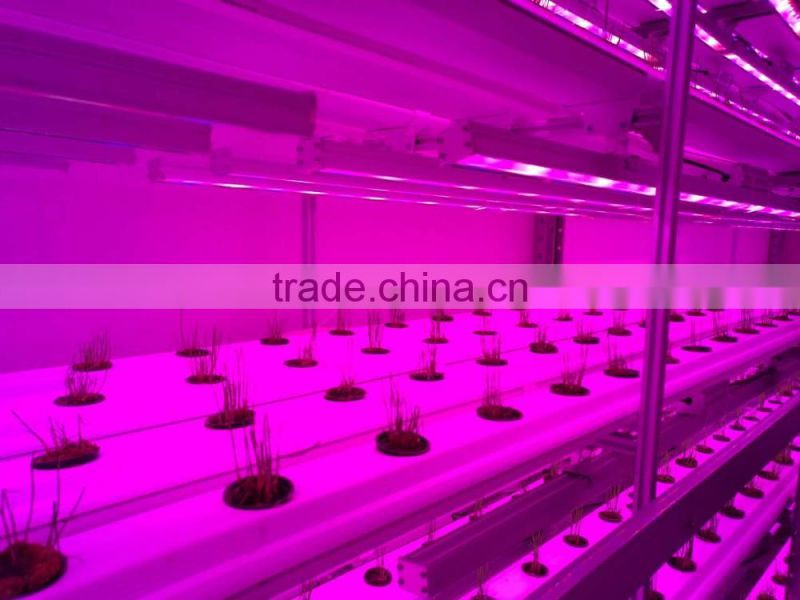 Greenhouse Automation Controlls