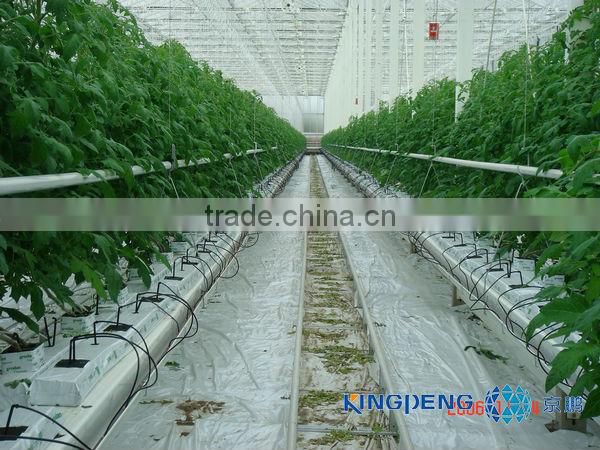 Automatic Dripping Irrigation System for Greenhouse