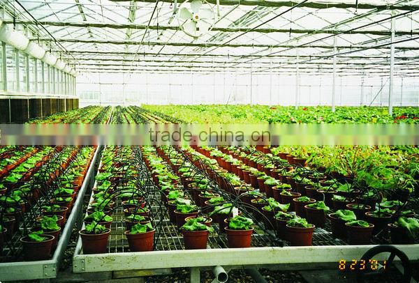 Automatic Dripping Irrigation System for Greenhouse