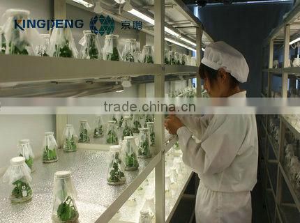 Professional Greenhouses Supplier