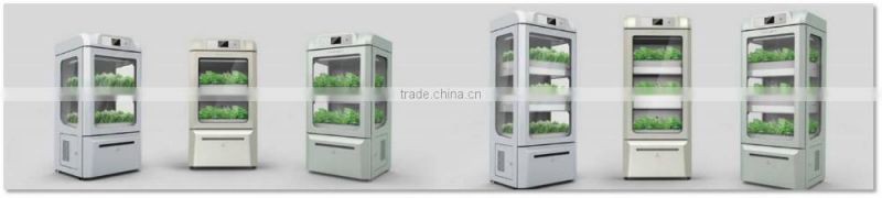 Indoor Cultivation Machine Greenhouse