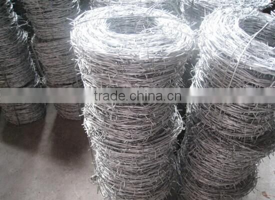 high quality galvanized barbed wire (factory best price)