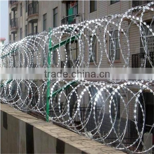 Barbed Wire Roll