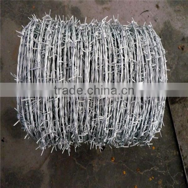 Barbed Wire Roll
