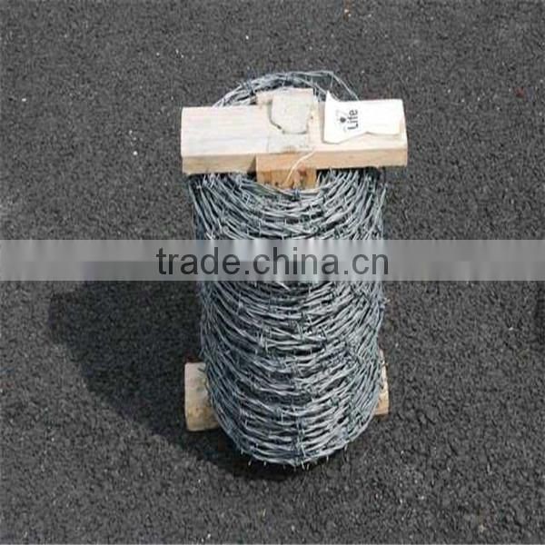 Barbed Wire Roll