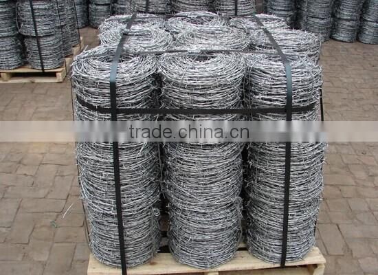 high quality galvanized barbed wire (factory best price)