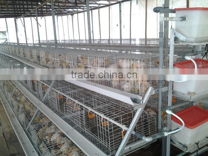 A Type Layer Chicken Cage/H Type Layer Chicken Cage/Layer Chicken Cage