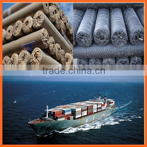 80x100mm hot dipped galvanized Hexagonal wire mesh /cabion from China