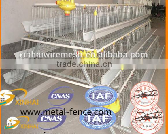 Layer Chicken Cage With Chicken Farm For Poultry Agricultural Equipment