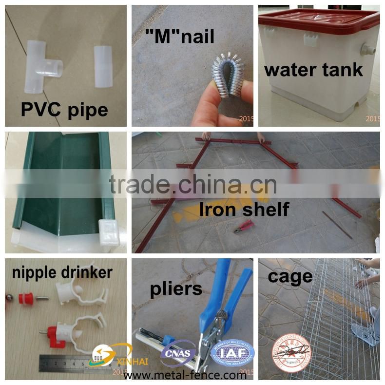 Layer Chicken Cage With Chicken Farm For Poultry Agricultural Equipment