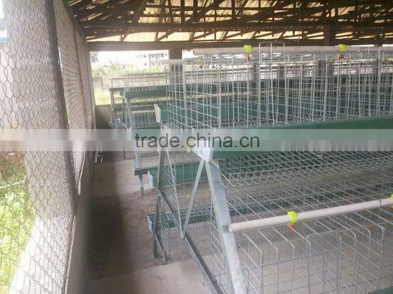 A Type Layer Chicken Cage/H Type Layer Chicken Cage/Layer Chicken Cage