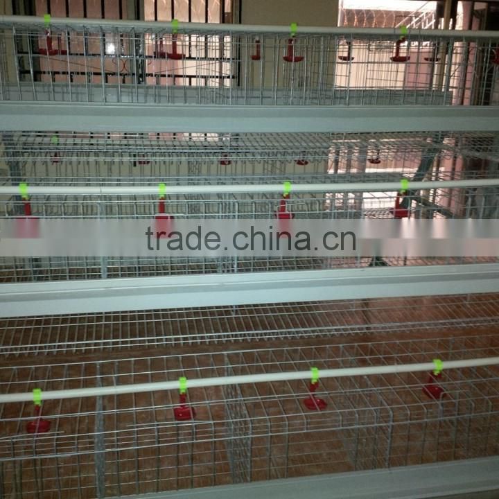 A Type Layer Chicken Cage/H Type Layer Chicken Cage/Layer Chicken Cage