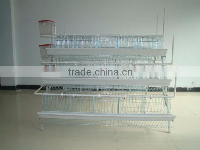 Layer Chicken Cage With Chicken Farm For Poultry Agricultural Equipment