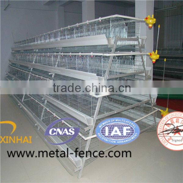 Layer Chicken Cage With Chicken Farm For Poultry Agricultural Equipment