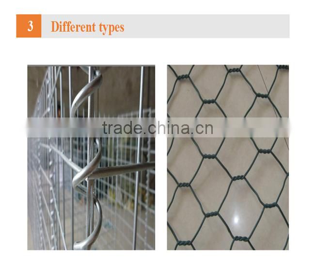 hot dip galvanized or pvc coated gabion mesh / welded gabion mesh /hexagonal wire mesh ( factory price)