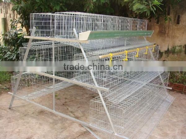 Layer Chicken Cage With Chicken Farm For Poultry Agricultural Equipment