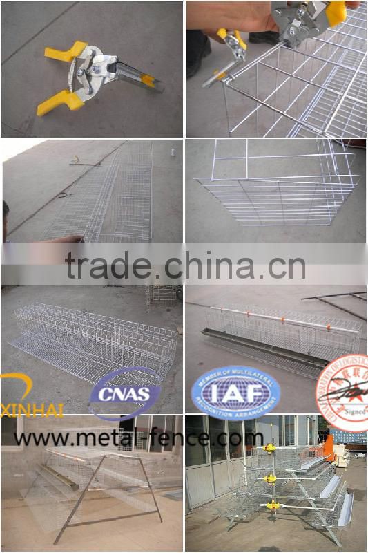 Layer Chicken Cage With Chicken Farm For Poultry Agricultural Equipment