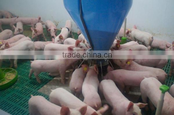 Composite Slatted Flooring For Weaner Crate/ Nursery Penning For Pig Farming Equipment