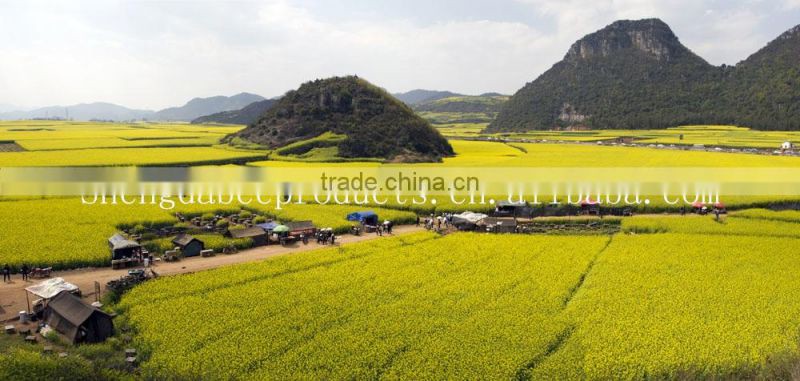 Nutrition supplements pure bees pollens powder raw material for making bee pollen capsule