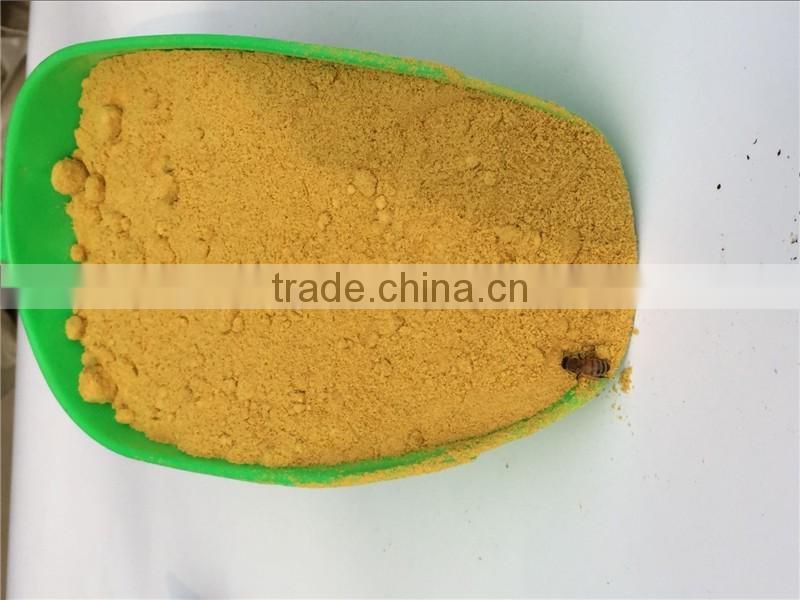 Nutrition supplements pure bees pollens powder raw material for making bee pollen capsule