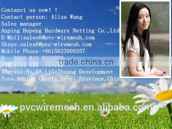 Anti Climb Fence /Welded 358 security Fencing