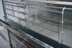 Automatic Drinking.jpg