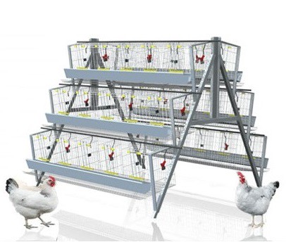 battery-cages.jpg
