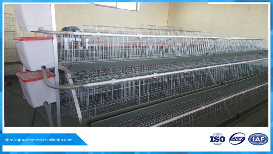 commercial poultry farming layer battery chicken cage for sale