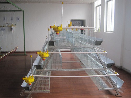 commercial poultry farming layer battery chicken cage for sale