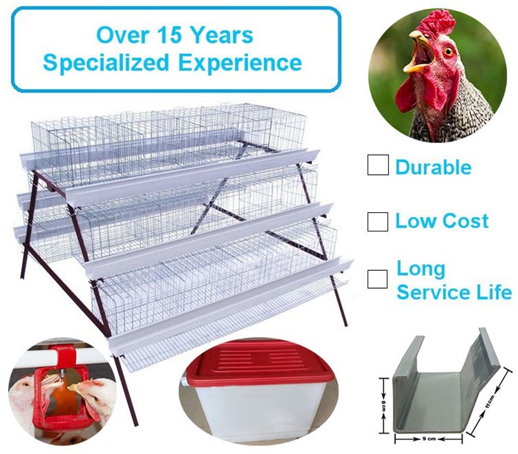 Chicken hen cage 2.jpg
