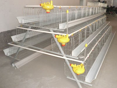 commercial poultry farming layer battery chicken cage for sale