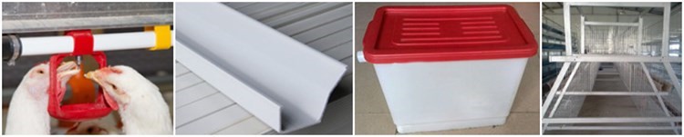 Chicken hen cage.jpg