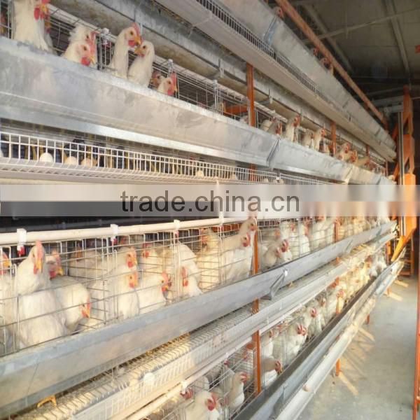 China alibaba Automatic system for H TYPE chicken breeding cage/chicken layer cage