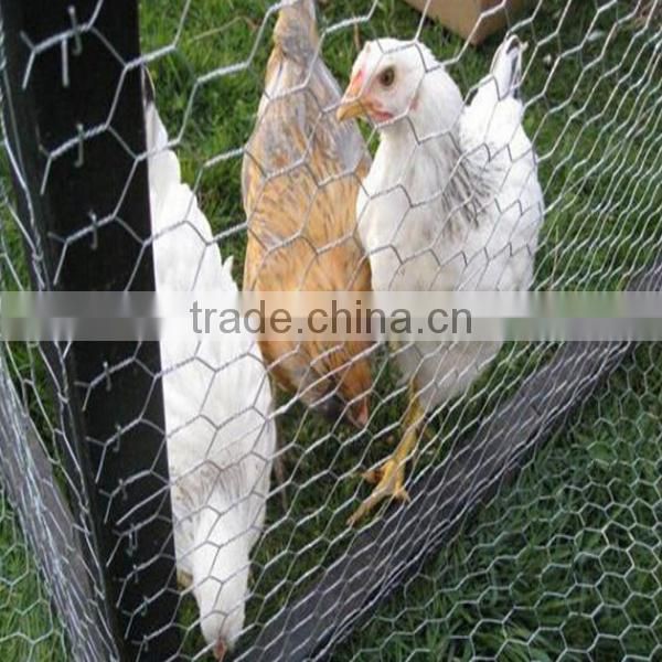 China alibaba Automatic system for H TYPE chicken breeding cage/chicken layer cage