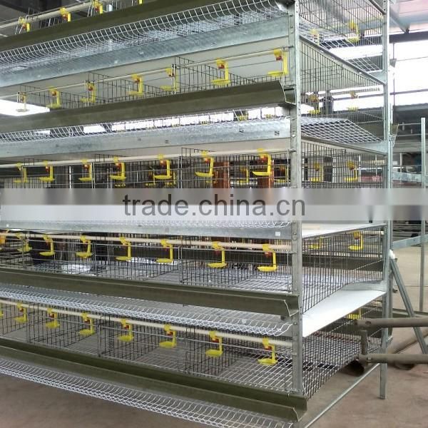 China alibaba Automatic system for H TYPE chicken breeding cage/chicken layer cage